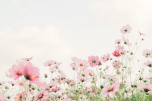 reviving spring resolutions